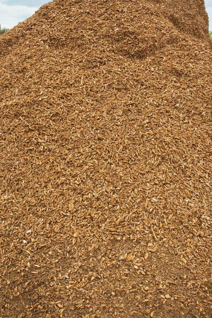 Transformation bois Saint-Jean-Port-Joli