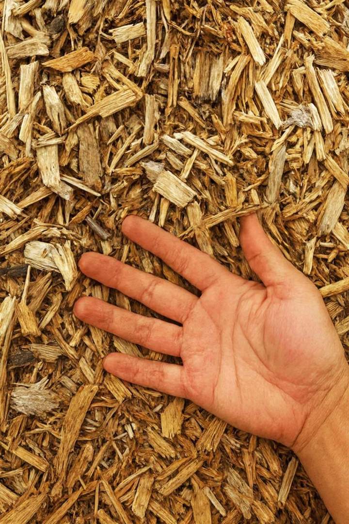 Copeaux de bois Saint-Jean-Port-Joli