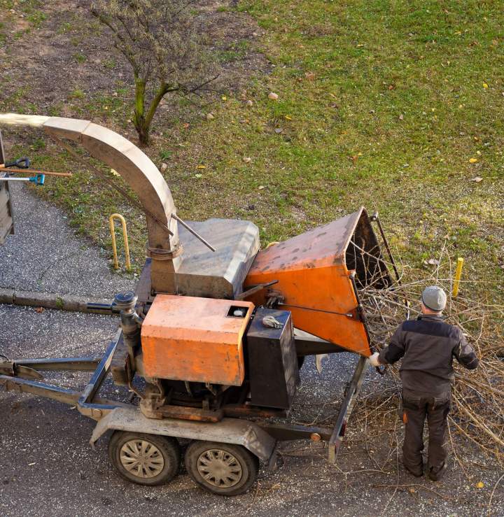 Broyage forestier Saint-Jean-Port-Joli